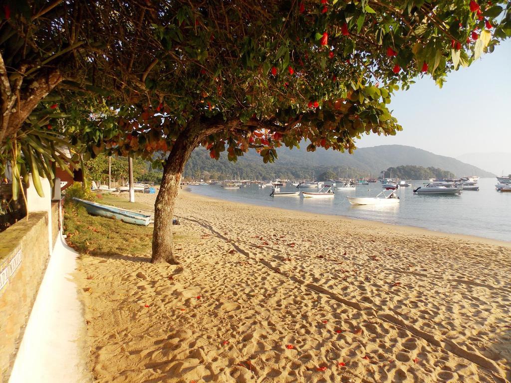 Manaca